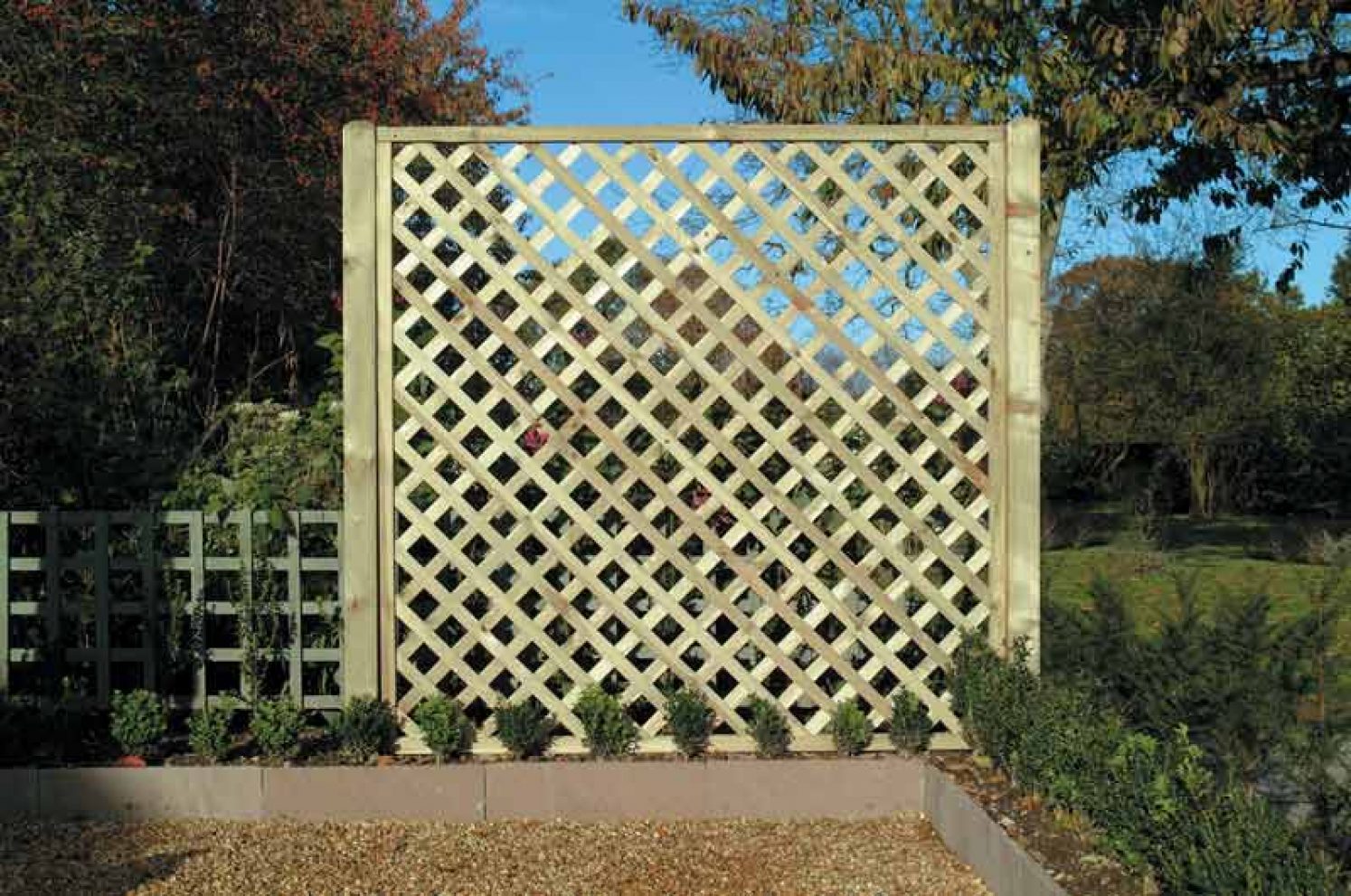 garden metal lattice