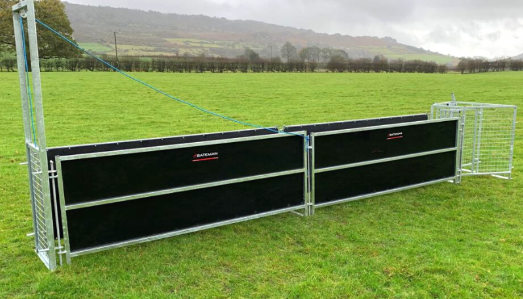 Standard Sheep Handling Starter Race