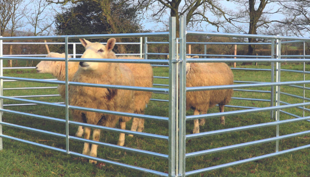 Sheep Hurdles – With Coupling Rods