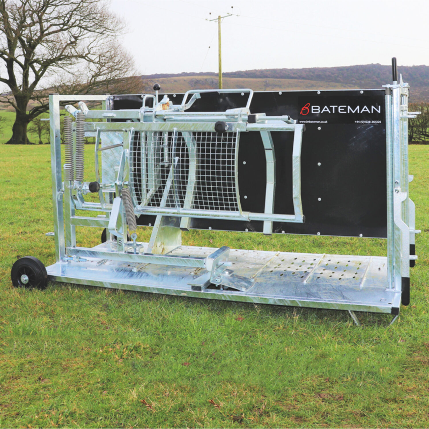 Sheep System E - LM Bateman | Sheep Handling | Ashford Kent