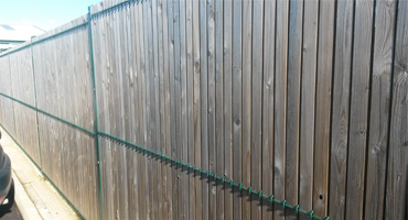Privacy Weldmesh Fence P200