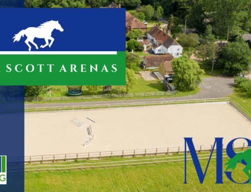 Introducing Mark Scott Arenas new Logos!